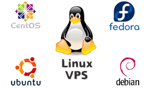 Linux VPS Hosting