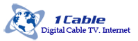 1 Cable